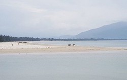 Bà ngoại lặng người khi thấy cháu gái hơn 13 tuổi quan hệ với thanh niên lạ mặt