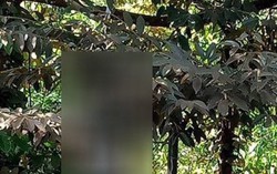 Yên Bái: Phát hiện thi thể hai vợ chồng mới ly hôn