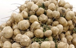 Những mẹo cần biết khi mua củ đậu
