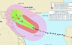 Quảng Ninh – Hải Phòng sẽ có mưa lớn từ đêm 18/10