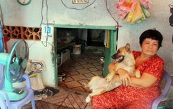 Cụ bà cô đơn 20 năm sống gầm cầu thang