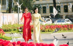 TPHCM xứng tầm trung tâm kinh tế - xã hội của cả nước
