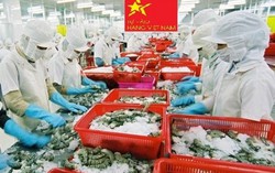 Hơn 100 gian hàng quy tụ tại hội chợ các sản phẩm thủy hải sản 2019