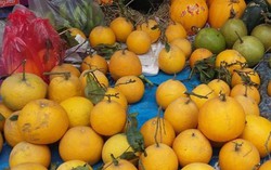 Đồ bày mâm ngũ quả Tết tăng giá 'chóng mặt'
