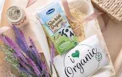 Bí quyết làm nên sữa tươi organic đạt tiêu chuẩn Mỹ