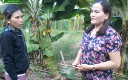 Người cán bộ Hội cơ sở giúp nhiều phụ nữ thoát nghèo