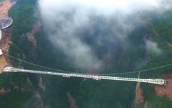Bé gái 3 tuổi dũng cảm bước lên cây cầu kính ở Trương Gia Giới