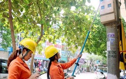 Từ 8 đến 10/5: 3 đoàn kiểm tra việc điều chỉnh tăng giá điện 