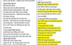 Tác giả đoạt tặng thưởng của Hội Nhà văn TPHCM bị nghi đạo thơ