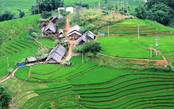 Lào Cai yêu cầu xử nghiêm các sai phạm xây dựng tại Sa Pa