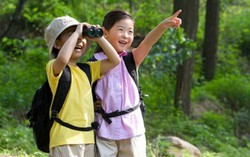 Học kỹ năng sống cho trẻ vào lớp 1 ở đâu?