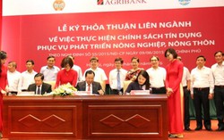 Agribank khẳng định vai trò chủ lực trong chính sách tín dụng phát triển 'tam nông'