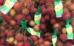 VinEco ra mắt sản phẩm Chôm chôm sạch