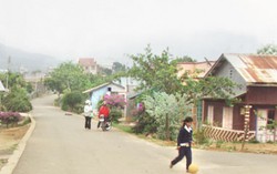 Gắn bảo vệ môi trường với xây dựng nông thôn mới của phụ nữ Lâm Đồng