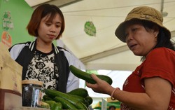 Cần thay đổi tư duy cái gì "ngon bán, xấu dùng"