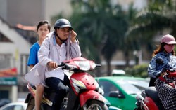 Mùa đông năm nay nhiệt độ sẽ cao hơn 