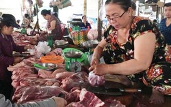Ảnh hưởng từ dịch tả lợn châu Phi, giá thịt lợn tăng chóng mặt