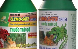 Trộn thuốc diệt cỏ vào thức ăn khiến chồng tử vong