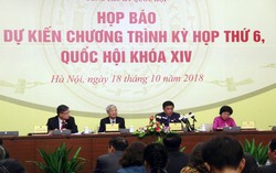 Tân Chủ tịch nước sẽ tuyên thệ trong những ngày đầu kỳ họp thứ 6 Quốc hội khóa XIV