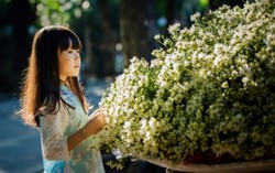 Các tỉnh Bắc bộ nắng ấm, Trung bộ mưa tăng trở lại