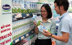 Chiến lược để dẫn đầu thị trường của ‘Triệu phú sữa tươi’ Việt Nam