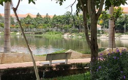 Luật sư: Kéo dài vụ án dâm ô trẻ em tại Vũng Tàu chỉ hằn thêm nỗi đau