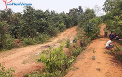 Truy nã nghi can sát hại cô giáo mầm non khi đi chăn bò