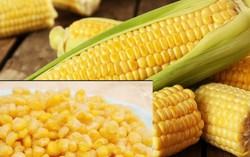 Để có món ngô chiên thơm giòn, đừng quên mua sữa đặc
