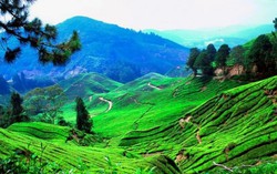 Phố núi yên bình giữa Malaysia sôi động