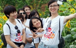 Tuần lễ hoa hướng dương tại Fansipan: lạc bước chẳng muốn về