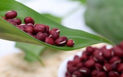 Thải chất độc nhân dịp... ‘đèn đỏ’