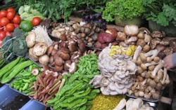 Mẹo phát hiện nấm sinh độc trước khi chế biến