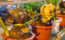 Độc đáo những chú heo chưng Tết làm từ dừa