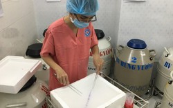 Bài 2: Tồn kho hàng ngàn phôi 'vô chủ', bệnh viện than trời