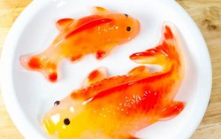 Hướng dẫn làm bánh thạch hình cá vàng cho mâm cỗ trung thu 