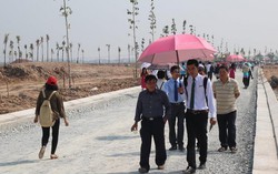 'Cò đất' là nguyên nhân tạo nên những cơn sốt đất