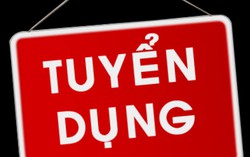 Thông báo tuyển dụng lái xe kiêm công tác hành chính