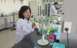 Có 15 nữ tiêu biểu trong 70 điển hình tiên tiến sẽ được tuyên dương