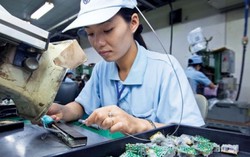 18 điều lao động nên biết để bảo vệ mình