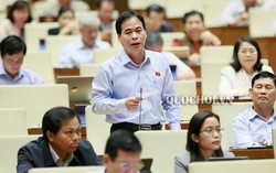 Dự thảo Luật Hòa giải, đối thoại tại Tòa án thiếu quy định bảo vệ quyền trẻ em