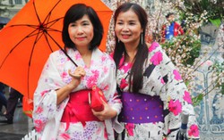 Người dân Thủ đô đội mưa ngắm hoa anh đào Nhật Bản
