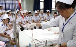Tuyển chọn 240 ứng viên làm điều dưỡng, hộ lý tại Nhật Bản lương cao