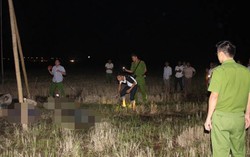 Khởi tố vụ án hình sự 4 người tử vong khi dựng cột viễn thông ở Hà Tĩnh