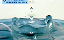 Giọt nước tràn ly