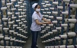 Cơ sở nào giới chủ doanh nghiệp đề xuất không tăng lương tối thiểu?