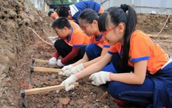 Hoạt động trải nghiệm là môn học trong chương trình phổ thông mới