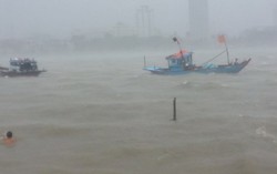 5.000 tàu, thuyền trên biển đang tìm nơi tránh bão số 7