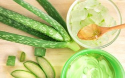 4 mẹo làm đẹp bằng nha đam nhiều chị em chưa biết