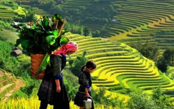 Đà Lạt, Sa Pa lọt Top 10 điểm đến mới nổi 2017 của châu Á
