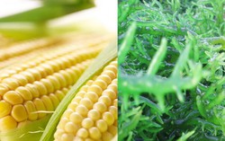 Đề phòng huyết khối não bằng các loại thực phẩm dễ sử dụng